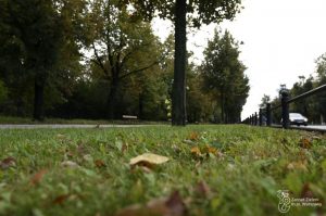 Warszawa przygotowuje trawniki do zimy