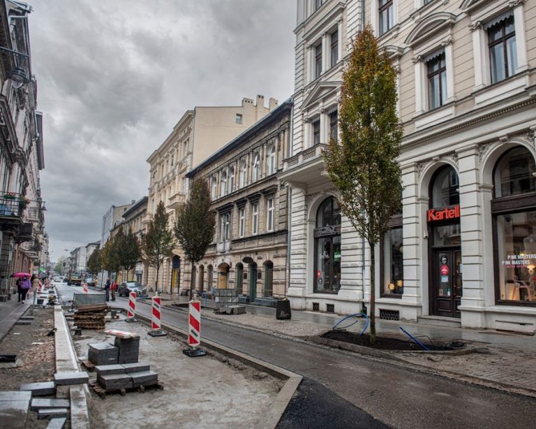 Łódź sadzi duże drzewa. Do końca roku pojawi się ich ponad 1000