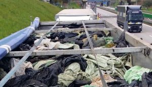 Udaremniono transport 46 ton nielegalnych odpadów