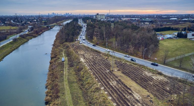 Warszawa. Na Białołęce będzie 42 tys. nowych drzew