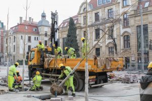 Ponad 50 nowych, dużych drzew w Katowicach. Ulica Dworcowa zmieni się w miejski deptak