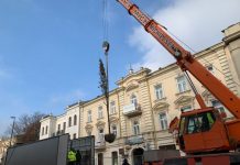 Lublin sadzi duże drzewa na jednej z najważniejszych ulic miasta