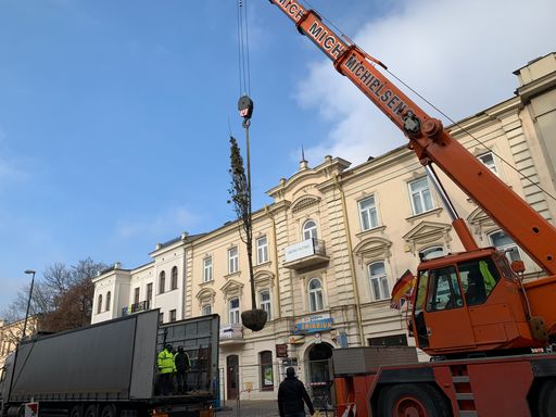 Lublin sadzi duże drzewa na jednej z najważniejszych ulic miasta