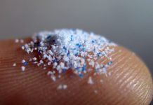 Mikroplastik w wodach wokół Japonii. Są właściwie wszędzie