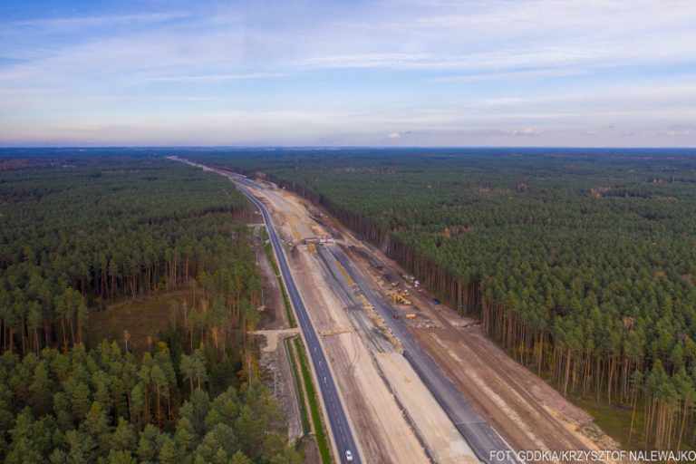 Wody opadowe z nowych dróg będą trafiać do lasów