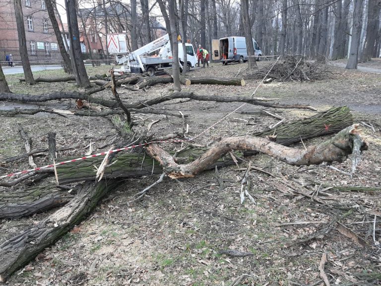 Park Młodzieżowy w Świdnicy przechodzi metamorfozę