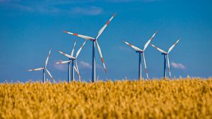 Badanie: Polacy chcą więcej czystej energii z wiatru