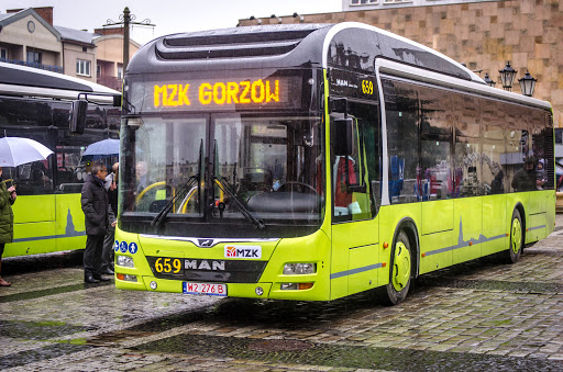 Gorzów kupuje kolejne autobusy hybrydowe