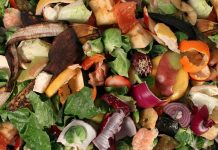 Ma艂opolskie. Wojew贸dztwo dofinansuje zakup kompostownik贸w dla mieszka艅c贸w Composting pile of rotting kitchen fruits and vegetable scraps as a banana peel orange and onion garbage waste for recycling as an environmentaly responsible composte that enriches soil in a garden.