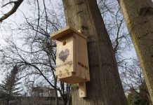Rusza akcja “WieszaMy budki dla dziuplaków” w Katowicach
