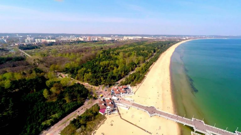 Radni PiS z Gdańska: nie dla zabudowy i wycinki drzew w pasie nadmorskim