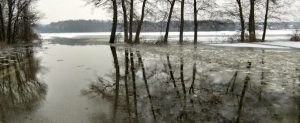 Płock. Największa powódź od ponad dekady