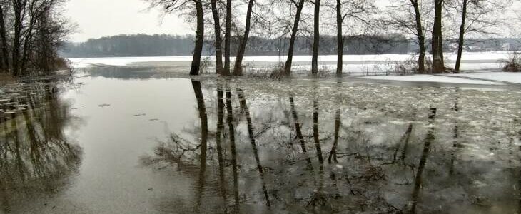 Płock. Największa powódź od ponad dekady