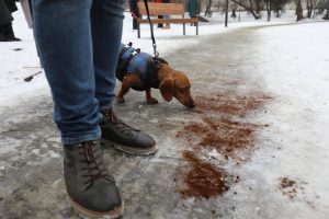Fusy po kawie zamiast piasku. Naukowiec wyjaśnia wątpliwości