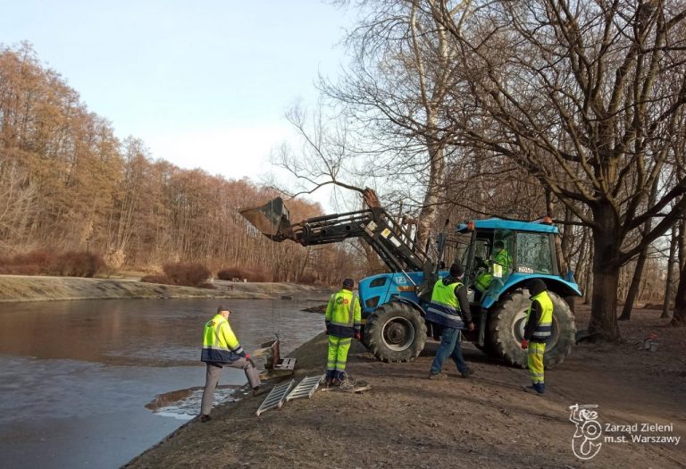 Wrzucanie ławek do stawów i kradzieże koszy na śmieci. Wandale atakują tereny zieleni
