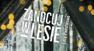 Mimo pandemii wejdziemy do lasów. Możemy tam nawet legalnie nocować