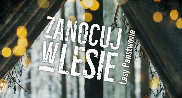 Mimo pandemii wejdziemy do lasów. Możemy tam nawet legalnie nocować
