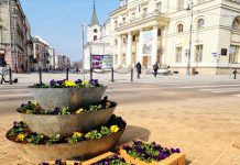 Lublin stroi się na wiosnę