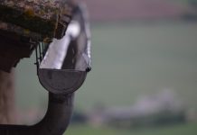 Warszawa dofinansuje ekologiczne inwestycje mieszkańców