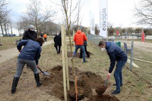 Gorzów rozpoczyna program zielonych inicjatyw