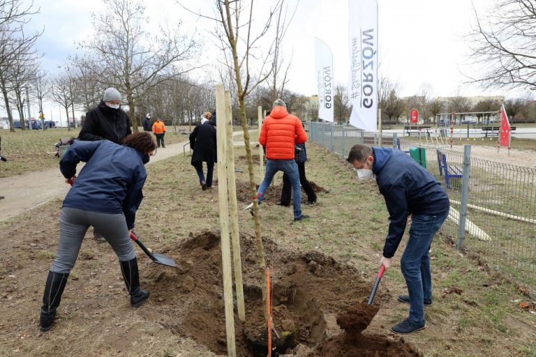 Gorzów rozpoczyna program zielonych inicjatyw