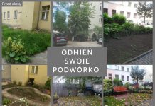 Poznaniacy odmienią swoje podwórka