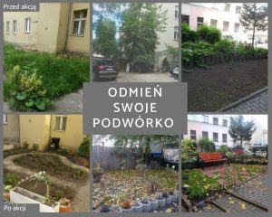Poznaniacy odmienią swoje podwórka