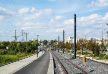 Wycięto 1,3 tys. drzew pod nową linię tramwajową. Są pieniądze na 2,8 tys. nowych drzew w całym mieście