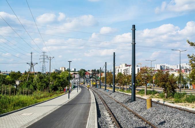 Wycięto 1,3 tys. drzew pod nową linię tramwajową. Są pieniądze na 2,8 tys. nowych drzew w całym mieście