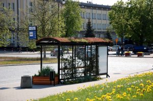 Białystok nagrodzony za zielone przystanki