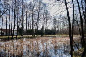 Łódź: Zamiast osiedli będą leśne parki