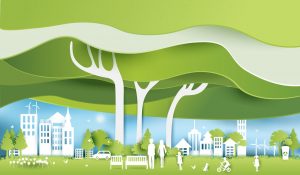 Miasto z klimatem 2.0 w tym roku w rozszerzonej formule. Jak aplikować?