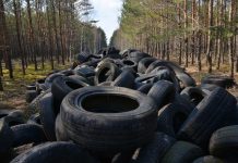 Sterta opon i innych odpadów porzucona w lesie. Leśnicy nagrali film i proszą o pomoc