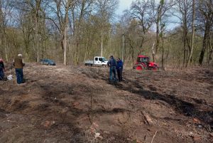 Miasto posadziło 15 tys. drzew i będzie sadzić kolejne