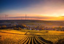 Branża wiatrowa apeluje o uwolnienie rynku energii wiatrowej na lądzie