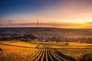 Branża wiatrowa apeluje o uwolnienie rynku energii wiatrowej na lądzie
