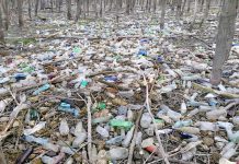 Jezioro plastiku u ujścia rzeki. „Ten obraz nas przeraził”