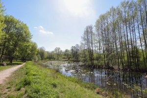 Łodź planuje wykupić działki od prywatnych właścicieli i posadzić 150 tys. nowych drzew