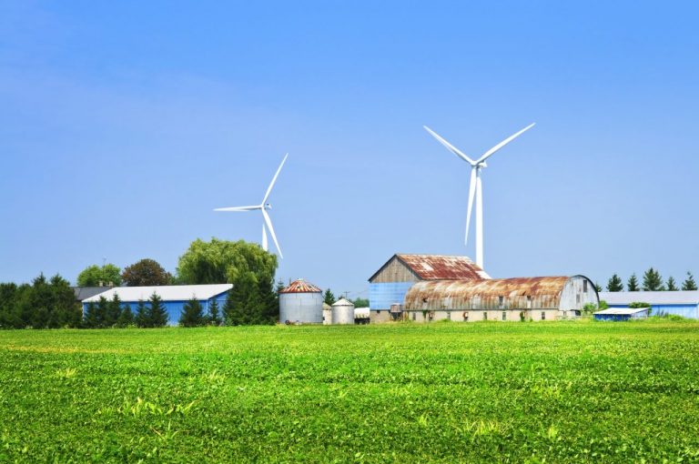 Raport: Polacy są za lądową energetyką wiatrową