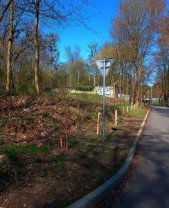Więcej zieleni w Szczecinie: lasy miejskie, orzechowy sad i zieleń mobilna