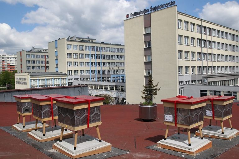 Pasieka z recyklingu stanęła na dachu uczelni
