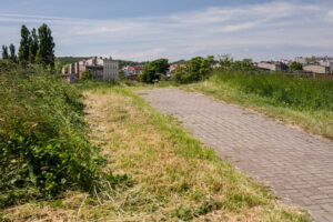 Gdańsk zapowiada, że będzie „kosić racjonalnie”