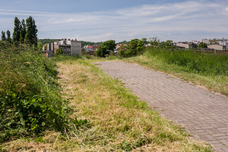 Gdańsk zapowiada, że będzie „kosić racjonalnie”
