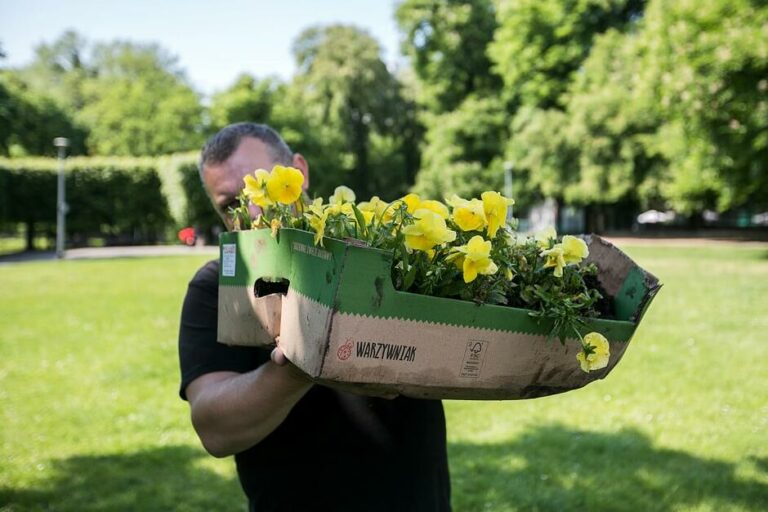 Gdańsk rozda ok 8 tys. sadzonek kwiatów mieszkańcom