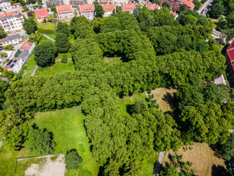 Pamięć o dawnych mieszkańcach Gdańska ma być tematem przewodnim rewaloryzacji Parku Bema