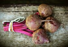 Buraki są coraz bardziej popularnym źródłem biogazu