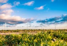 PZU sfinansuje rozbudowę farmy wiatrowej Potęgowo