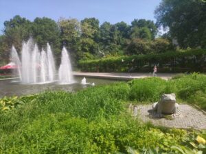 Ponad 4,5 mln zł dofinansowania na rewitalizację przestrzeni parkowych w Elblągu