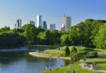Warszawa poszukuje wykonawców parkowych inwestycji