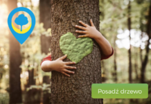 Drzewa dla potomnych czyli 600 drzew na 600-lecie Mińska Mazowieckiego